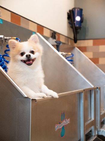 Pet spa