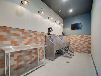 Pet spa