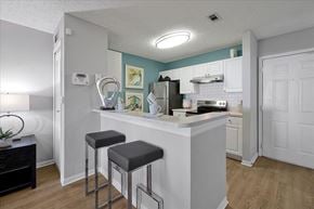 Ocoee apartment for rent - kitchen