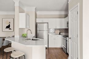 Morrisville apartment for rent - signature ktichen