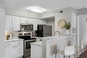 Kissimmee apartment for rent - kitchen