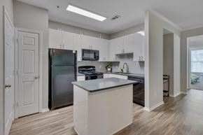 Cary apartment for rent - Kitchen