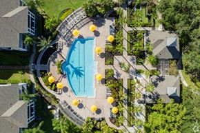 Tampa apartment for rent - Pool