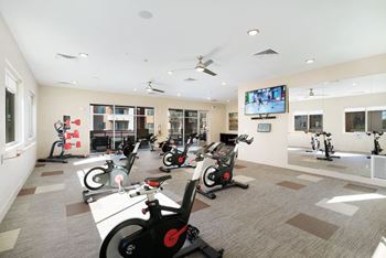 Virtual & interactive fitness centers