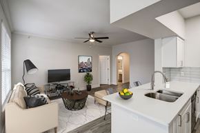 Denver apartment for rent - ktichen