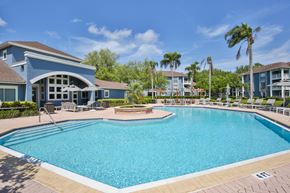 Sarasota apartment for rent - swimming pool