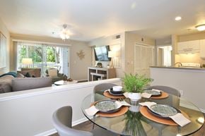 Sarasota apartment for rent - dining area