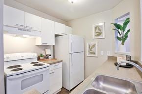 Sarasota apartment for rent - ktichen