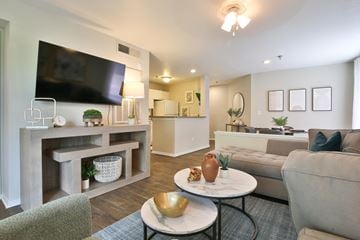 Sarasota apartment for rent - a living room with a couch and a television