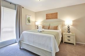 Sarasota apartment for rent - bedroom