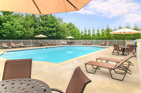 Exton apartment for rent - A gated resort-style pool at our Severgn Apartments in Exton, PA with lounge chairs, tables, and umbrellas surrounded by trees.