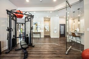 Webster Groves apartment for rent - A home gym with a variety of equipment including a weight bench, a pull up bar, and a medicine ball at The Elle on Lockwood Apartments, Webster Groves, 63119