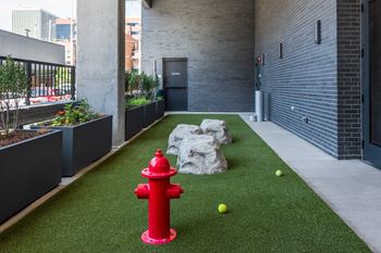 Petfriendly courtyard with artificial turf and fire hydrant