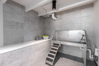 Pet spa with stainless steel tub and stairs