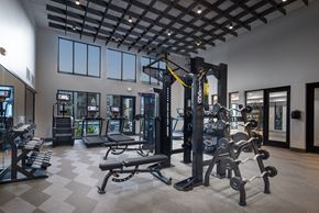 Rogers apartment for rent - Fitness center with cardio and strength training equipment at Plaza at Pinnacle Hills Apartments, Rogers, AR