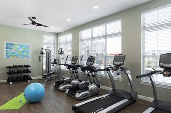 The gym