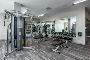 St Louis apartment for rent - a gym with weights and cardio equipment in a building with white walls at Hibernia Apartments, Missouri