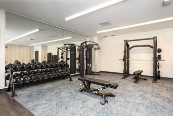 Fitness center with free weights and cable machines