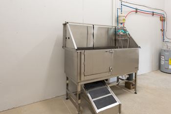 Stainless steel pet washing station with ramp