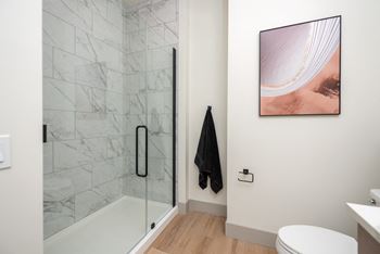 Bathroom with glass shower and marble tile surround