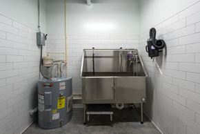 St. Louis apartment for rent - pet spa with dog washing station at Steelcote Square, St. Louis