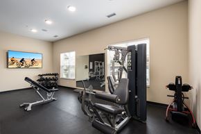 Saint Louis apartment for rent - A gym with a variety of equipment including a rowing machine, a leg press machine, and a bench press.