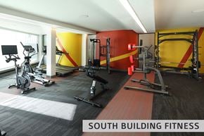 St. Louis apartment for rent - the gym at south building fitness  at Expo at Forest Park, St. Louis, MO