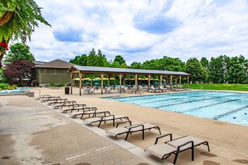 A pool with sun loungers and a building in the background