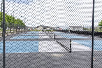 A chain link fence surrounds a pool