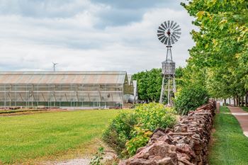 A windmill stands next to a green field