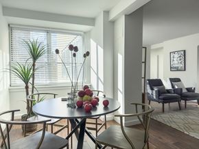 Philadelphia apartment for rent - Dining under natural light
