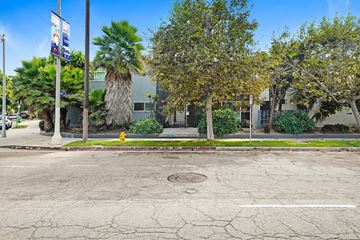 Venice apartment for rent - A cracked street with a yellow fire hydrant and trees.