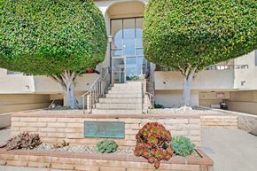 Mar Vista apartment for rent - A green tree is in front of a building.