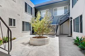 Venice apartment for rent - A small tree in a pot sits in the middle of a courtyard.