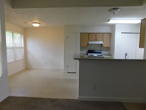 Pensacola house for rent - A kitchen area with a counter and cabinets.