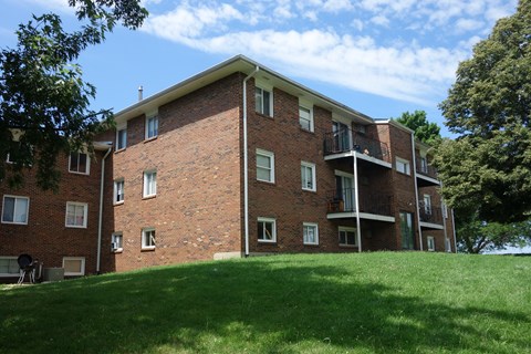 Floor plan for 1 bed, 1 bath
