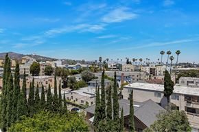 Los Angeles apartment for rent - A cityscape with buildings and palm trees under a clear blue sky.