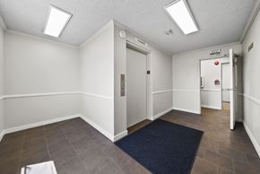 Los Angeles apartment for rent - A hallway with a blue rug and white walls.