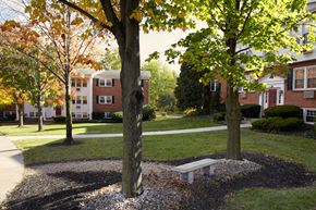 Camillus townhouse for rent - A tree with a bench underneath it in the foreground with a building in the background at Kings Gate West Apartments, Camillus, New York