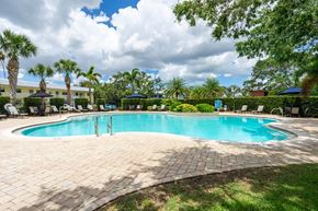 Clearwater apartment for rent - Pool with Palm Trees at Imperial Gardens Apartments, Clearwater, FL