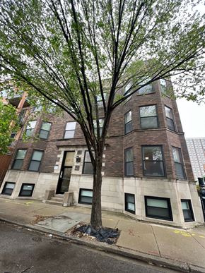 Chicago apartment for rent - a tree in front of a building