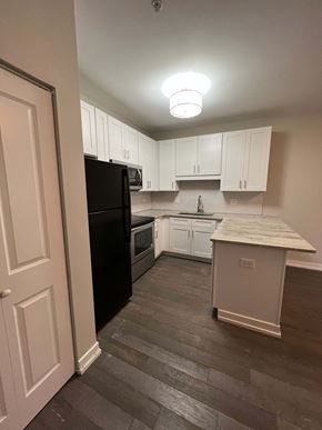 Chicago apartment for rent - a kitchen with white cabinets and a black refrigerator