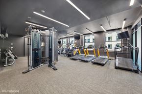 Chicago apartment for rent - the gym is equipped with cardio equipment and weights