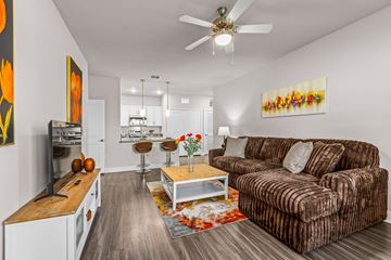 Tavares apartment for rent - A living room with a brown couch and a ceiling fan.