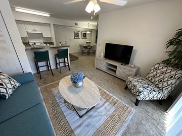 Mt. Dora apartment for rent - A living room with a grey couch and a coffee table.