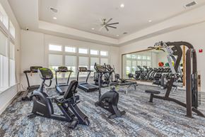 Mount Dora apartment for rent - A spacious gym with a variety of exercise equipment.