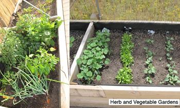 Rooftop planters garden