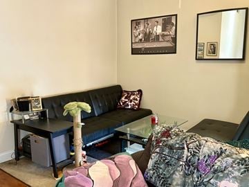 Chicago apartment for rent - A living room with a black couch and a green plant.