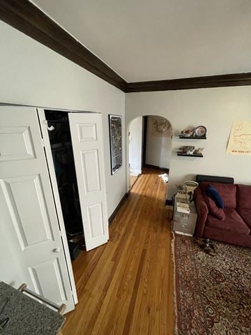Chicago apartment for rent - A living room with a couch and a rug.