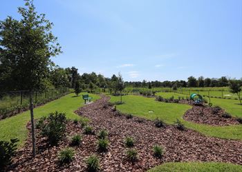 Dog park